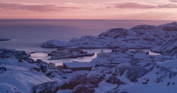 [ММКФ 2019] Обзор конкурса документального кино