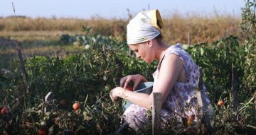 КАННЫ-2019: Рецензия на фильм «Однажды в Трубчевске»