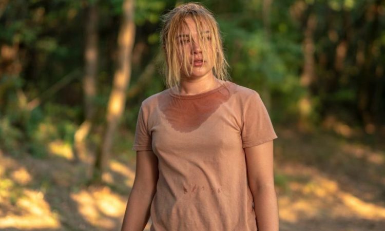 Тушите свет: Рецензия на «Солнцестояние»