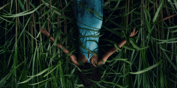 Что там прячется? Вышел трейлер ужастика «В высокой траве» по Стивену Кингу