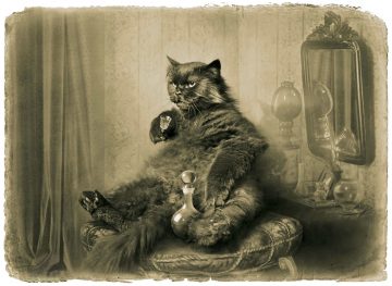 Баз Лурман займется «Мастером и Маргаритой»