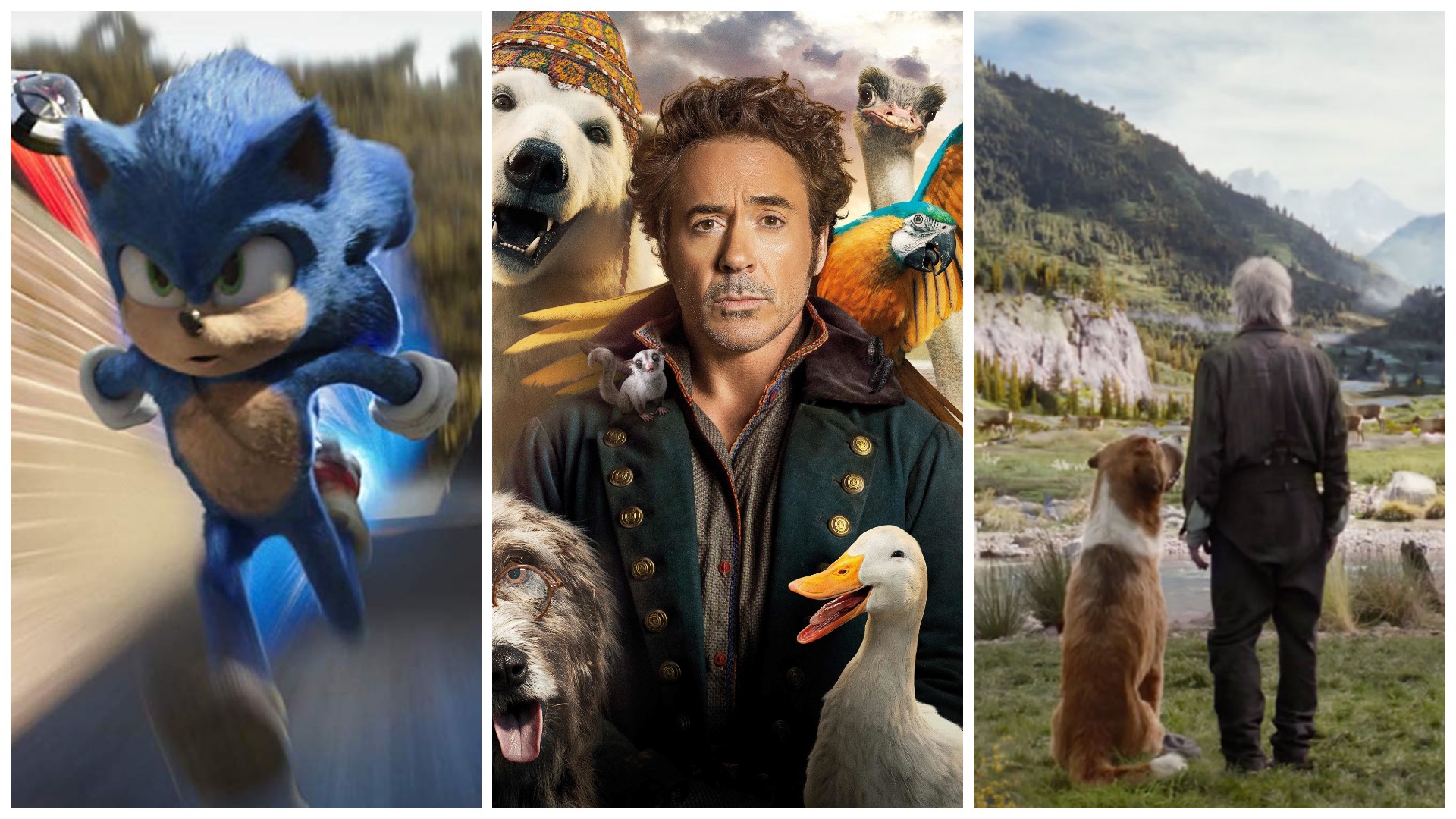 Еж Эйса Вентуры, пес Хана Соло и зоопарк Тони Старка: Как выбрать между «Соником», «Дулиттлом» и «Зовом предков»?