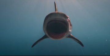 Глупые люди против умных акул: Трейлер «Глубокого синего моря 3»