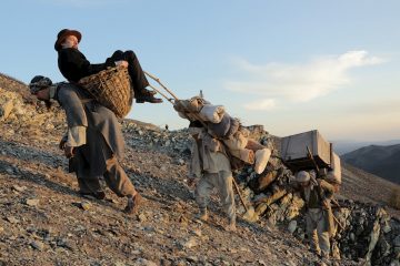 43-й ММКФ: Фильмы, которые нельзя пропустить