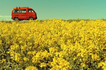 В столице стартует фестиваль «Из Москвы с любовью»