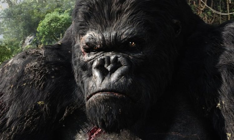 Клон, Джексон и Годзилла: Как живет Кинг-Конг в XXI веке?