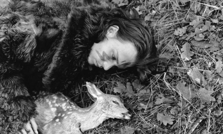 Куда ведут дороги Джима Джармуша