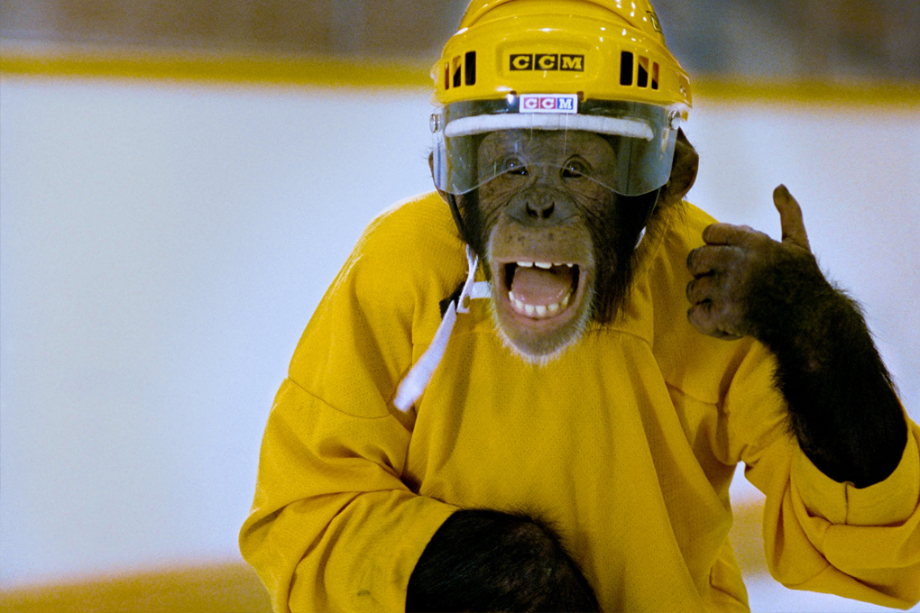 Шайбу, шайбу!