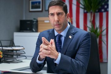 Где еще можно увидеть Дэвида Швиммера, кроме «Друзей»?