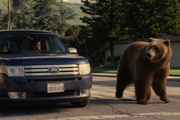 Умер медведь Барт II – настоящая голливудская звезда