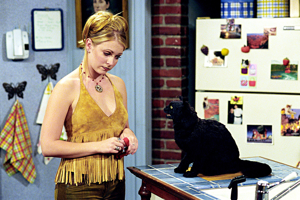 Сабрина и кот Салем, сериал «Сабрина – маленькая ведьма» (1996–2003