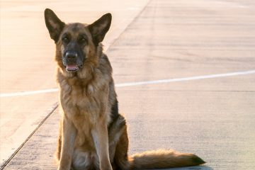 Создатель кинохита «Пальма» снимет фантастический сериал