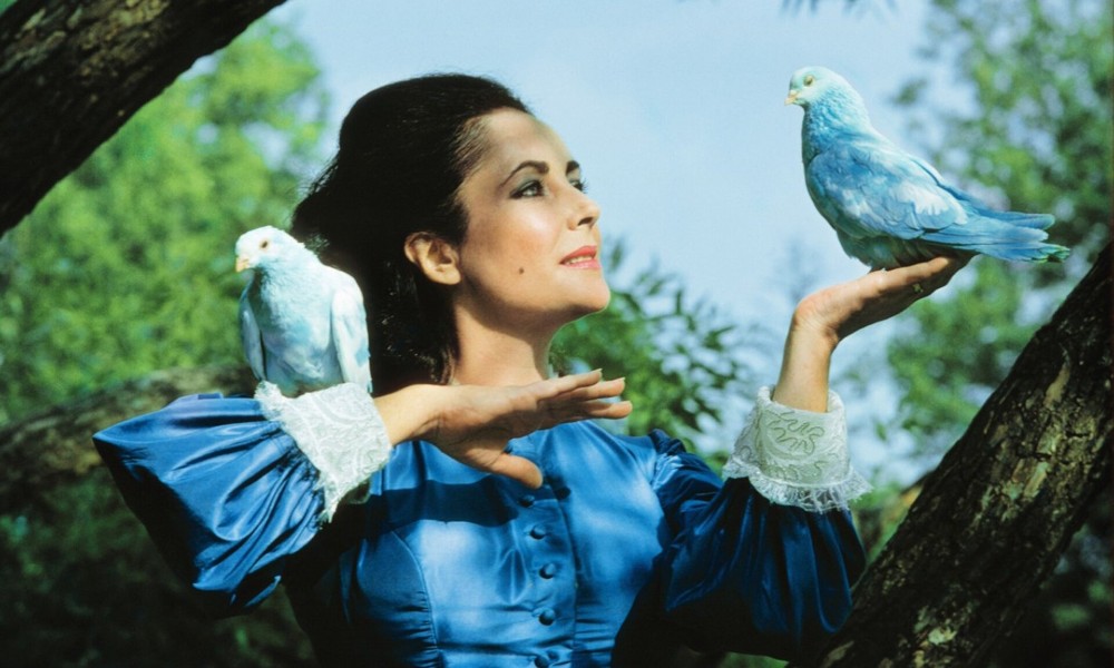 Синяя птица, Элизабет Тейлор