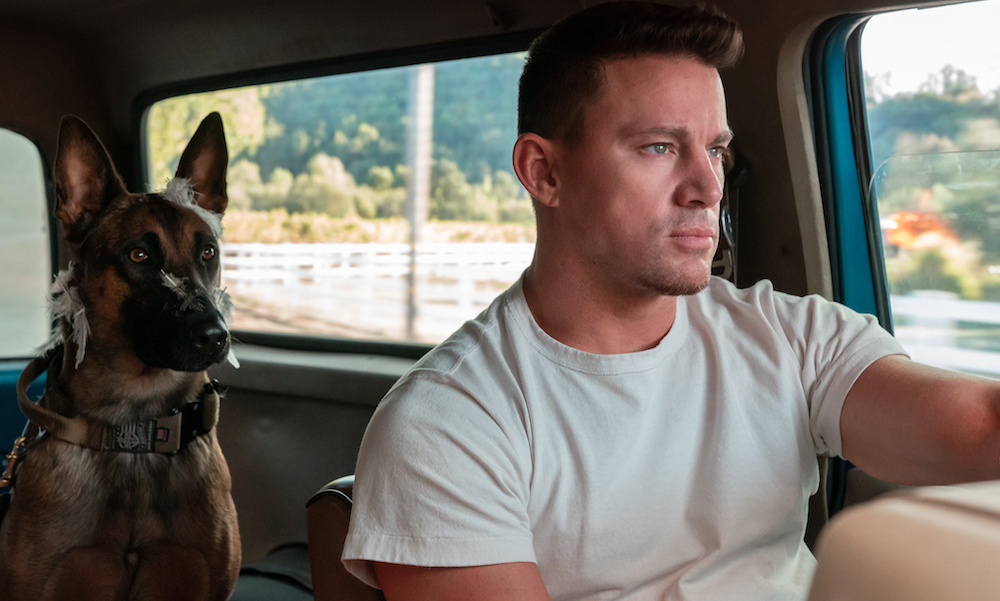 Кадр из фильма