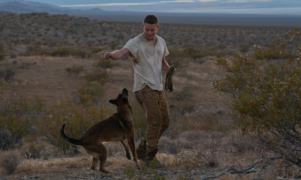 Кадр из фильма