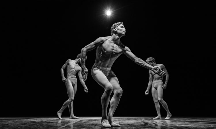 Держи ритм: Фильмы о танцах и танцорах