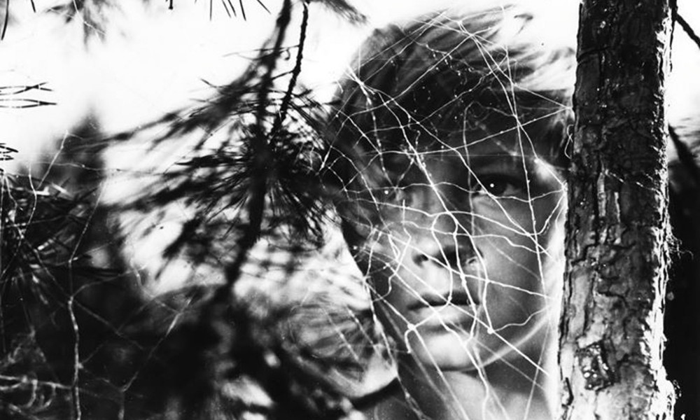 Кадр из фильма «Иваново детство»