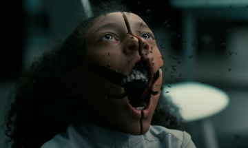 Самые интересные новинки сезона