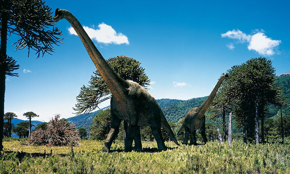 Кадр из сериала «Прогулки с динозаврами»