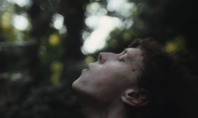 Как менялся образ человека-волка: От хищного убийцы до соблазнителя и друга