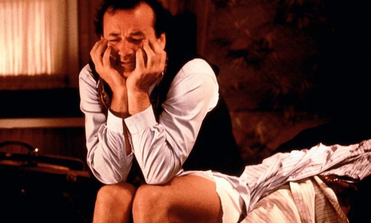 Фильмы о необычных командировках – от Северного полюса до мира абсурда