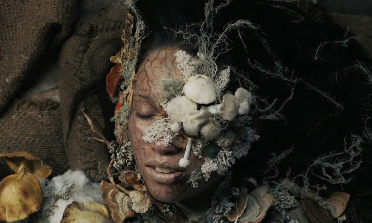 Ужасы Черного континента