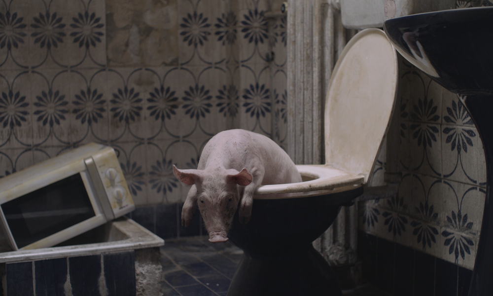 ММКФ 2022: фильмы