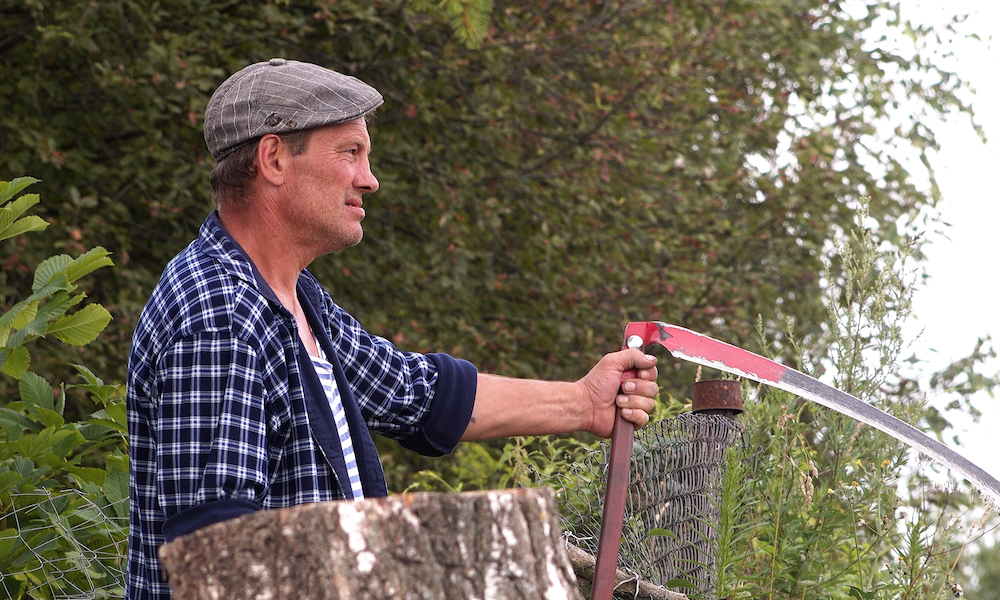 ММКФ 2022: Программы Огород