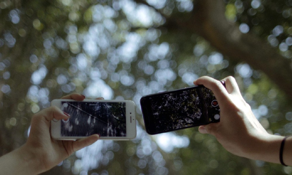 Путешествие Масторны. ММКФ