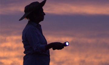 Локарно ищет новые таланты в Латинской Америке