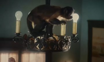 Стивена Спилберга попросили вырезать обезьянку