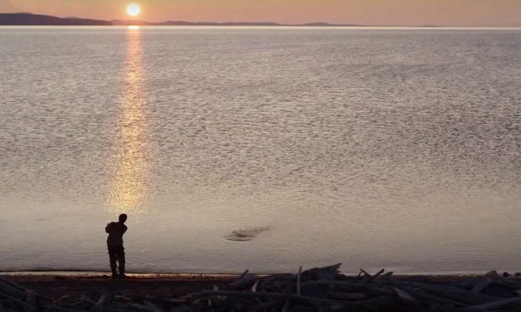 Сибирь в кино: Великая, опасная, прекрасная