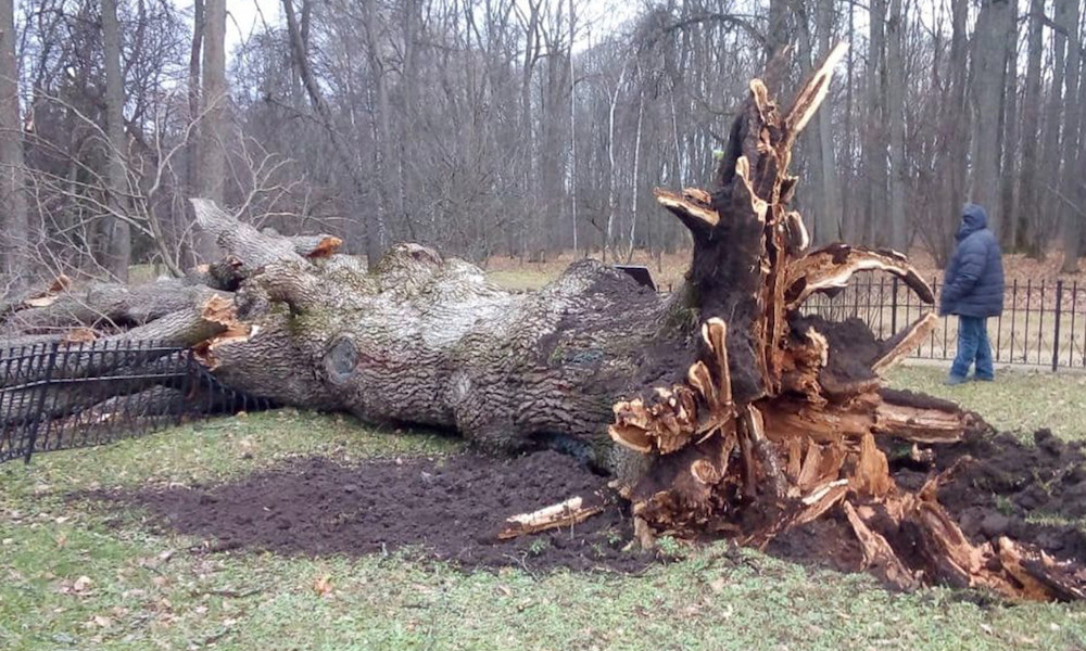 Итоги-22. События