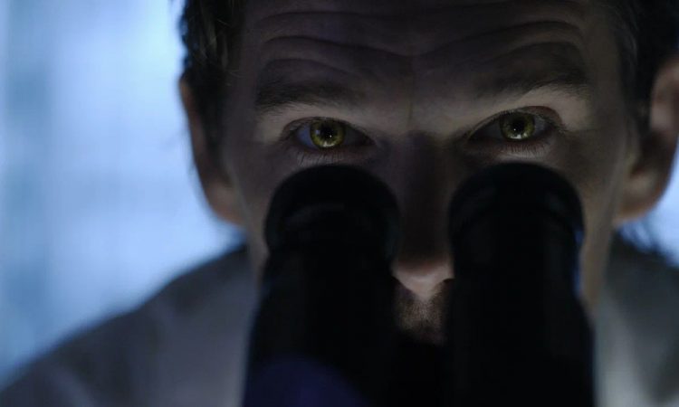 «Голод» и «Жажда»: 10 самых необычных вампиров