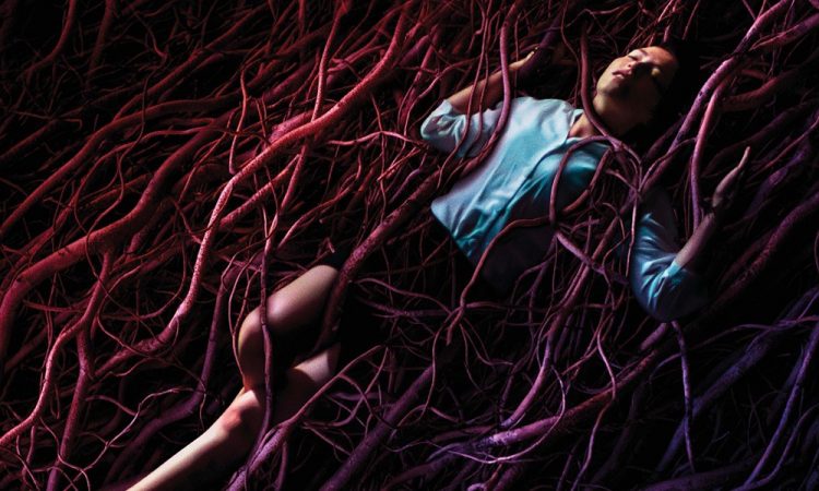 За что мать-природа мстит людям в эко-хоррорах