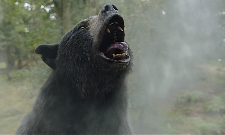 Почему «Кокаиновый медведь» – лучшее развлечение для вечера пятницы