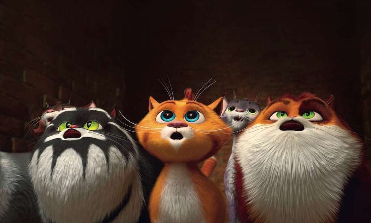 Котики в искусстве: Что рассказывают о «Котах Эрмитажа» создатели, включая Полину Гагарину