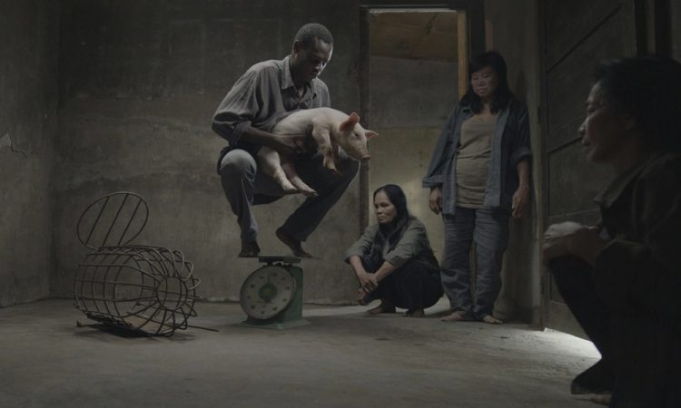 Современное вьетнамское кино: С чего начать знакомство