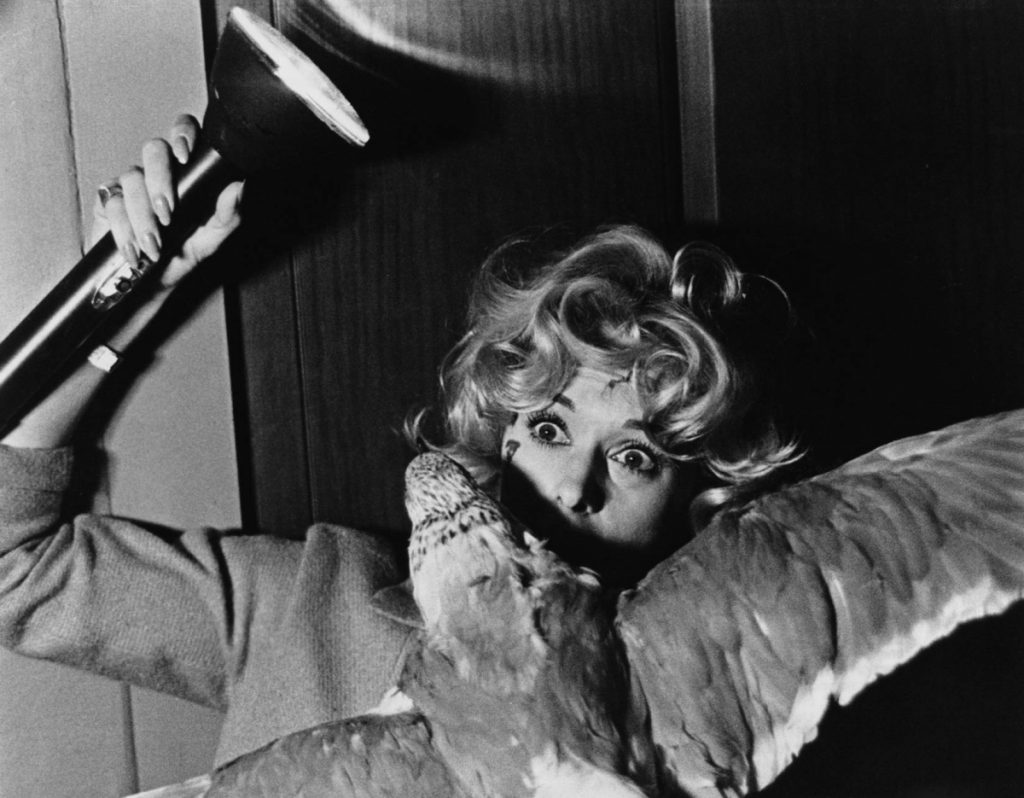 Кадр из фильма «Птицы»