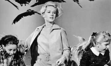 «Птицы» Альфреда Хичкока: Культовый триллер, который  вынес приговор человечеству