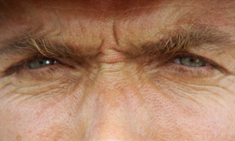 Широкая душа: Краткая история эволюции киноэкрана