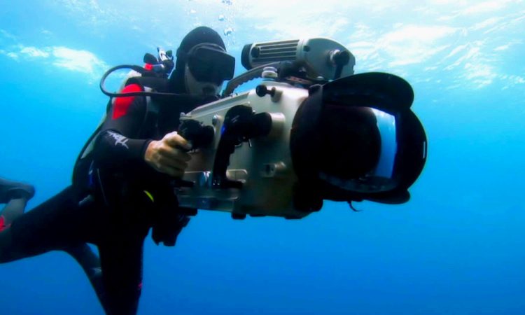 Глаз – алмаз: Знаменитые операторские трюки, изменившие историю кино