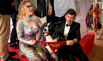 Пес Месси получил награду Каннского кинофестиваля