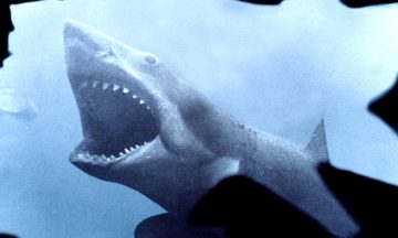 Эволюция трейлеров: История их появления и развития