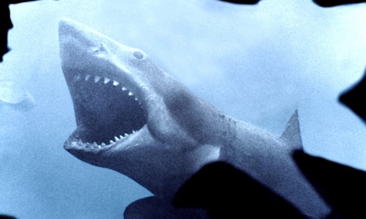 Эволюция трейлеров: История их появления и развития