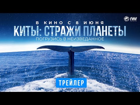 Красивейшая документалка про океанских гигантов «Киты: Стражи планеты» с голосом Бурунова