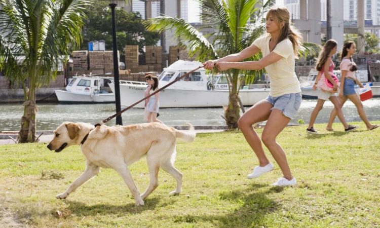 Лучше, чем люди: Звездные псы и их хозяева