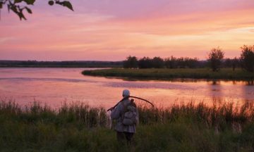 Региональное кино бесплатно покажут в Калининградской области