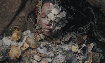 От грибов до гробов: Ужасы лесных тропинок