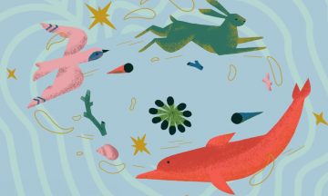 В Перми пройдет III фестиваль документальных фильмов «Форма жизни»